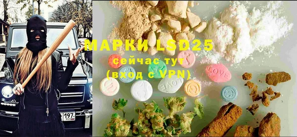 PSILOCYBIN Тутаев