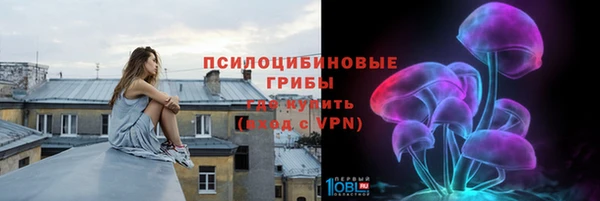PSILOCYBIN Тутаев