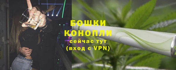 PSILOCYBIN Тутаев