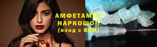 PSILOCYBIN Тутаев