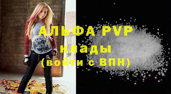 PSILOCYBIN Тутаев