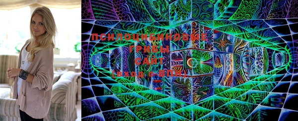 PSILOCYBIN Тутаев