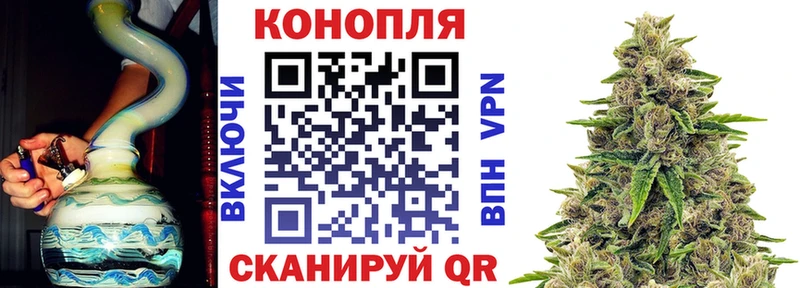 Купить где  Ипатово  Бошки марихуана план 